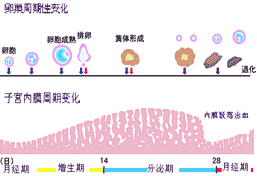 ½(jng)ӌm(ni)Ĥֳٵ׃