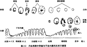 ½(jng)ӌm(ni)Ĥֳٵ׃