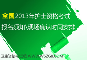2013ȫoʿ̘IYԇ֪ͨ