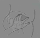 Dʾwww.dflrw.cnע䶨λm